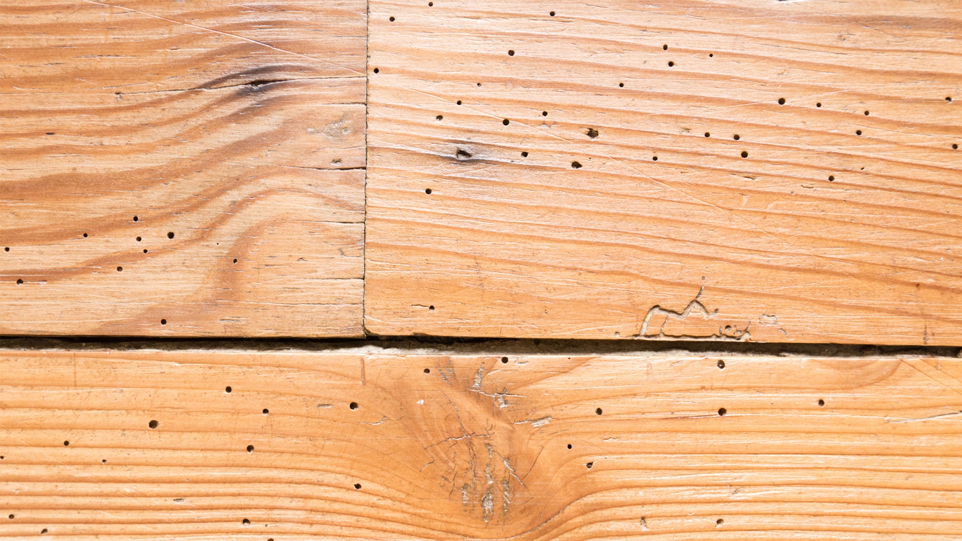 Tratamiento de xilófagos en Mallorca | Tratamiento termitas Mallorca Tratamiento de xilófagos en Mallorca | Tratamiento carcoma Mallorca